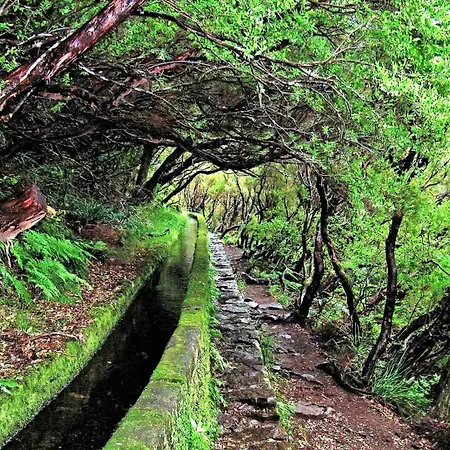 King's House - Centennial House Casa de Férias