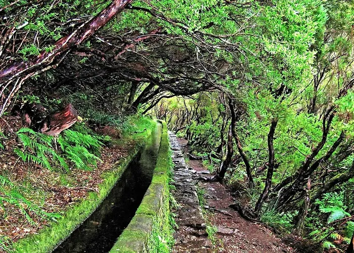 King's House - Centennial House Tatil Evi