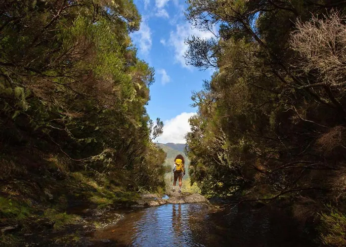 Tatil Evi King's House - Centennial House